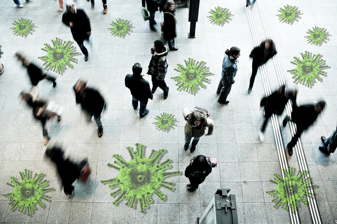 background check pandemic, pandemic, background check